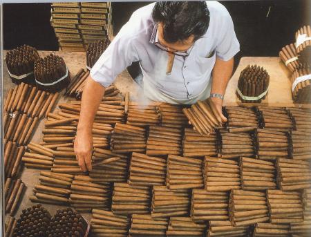 la passion des cigares